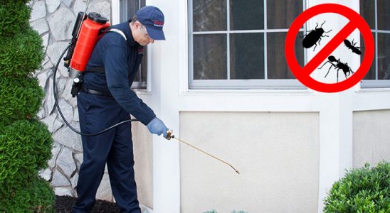 Çankırı Hamam Böceği İlaçlama böcek ilaçlama ve haşere kontrolü — ilaclama-tr.com